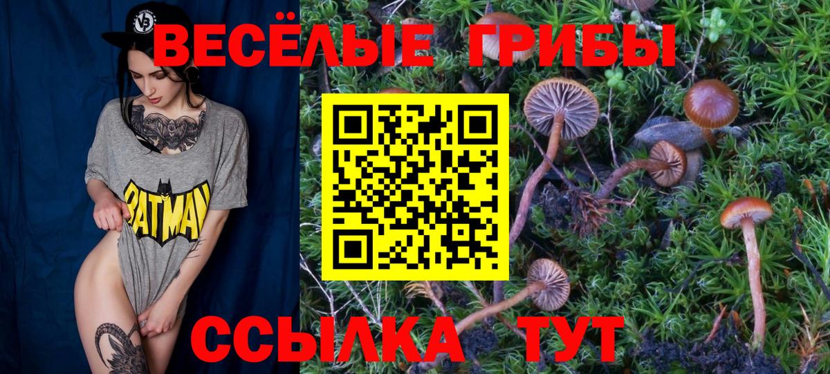 NBOMe Лянтор