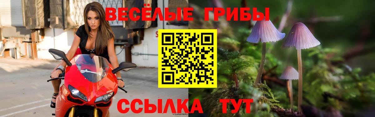 Лянтор  Псилоцибиновые грибы мицелий  Вход с VPN 